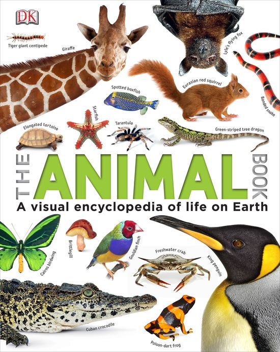 Cover for Dk · Our World in Pictures The Animal Book - DK Our World in Pictures (Hardcover Book) (2013)