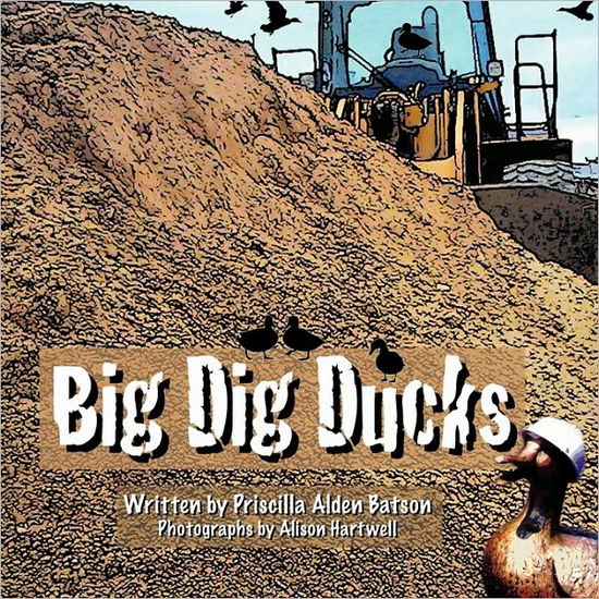 Big Dig Ducks - Priscilla Batson - Books - Authorhouse - 9781438992495 - February 19, 2010
