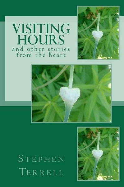 Cover for Stephen Terrell · Visiting Hours and Other Stories from the Heart (Paperback Book) (2012)