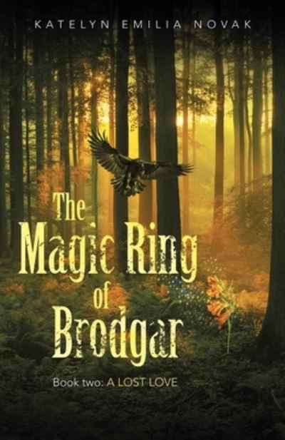 Cover for Katelyn Emilia Novak · The Magic Ring of Brodgar (Paperback Book) (2021)