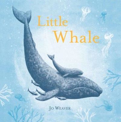 Cover for Jo Weaver · Little Whale (Book) (2018)