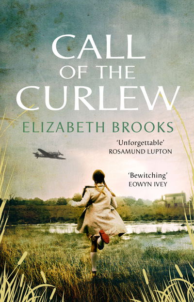 Cover for Elizabeth Brooks · Call of the Curlew (Paperback Book) (2019)