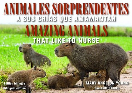 Cover for Young, Mary Angelon (Mary Angelon Young) · Animales Sorprendentes / Amazing Animals - English &amp; Spanish Bilingual Edition: Que Amamantan a Sus Crias / That Like to Nurse (Paperback Book) (2020)
