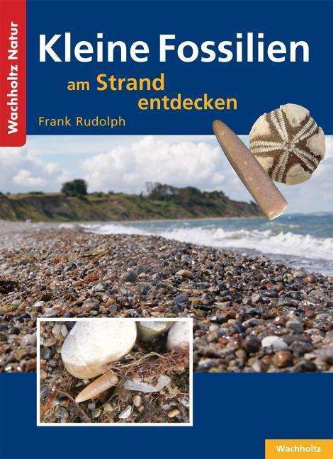 Kleine Fossilien am Strand entd - Rudolph - Książki -  - 9783529054495 - 