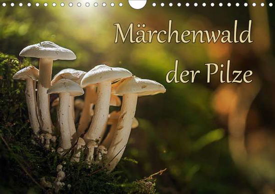 Cover for Radtke · Märchenwald der Pilze (Wandkalen (Book)