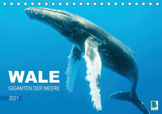 Giganten der Meere (Tischkalender - Wale - Bücher -  - 9783672501495 - 