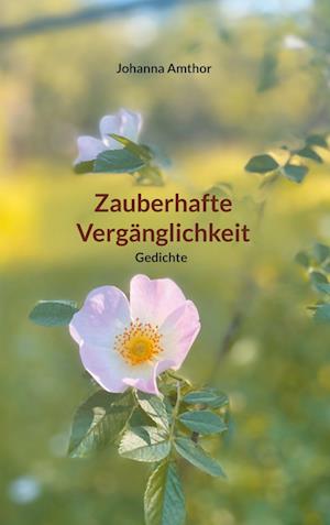 Cover for Johanna Amthor · Zauberhafte Vergänglichkeit (Book) (2024)