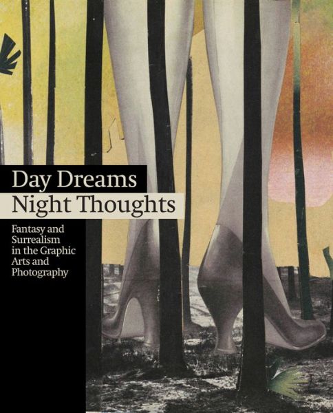 Cover for La Fabrica · Day Dreams Night Thoughts: Fantasy and Surrealism in the Graphic Arts and Photography (Hardcover Book) (2014)