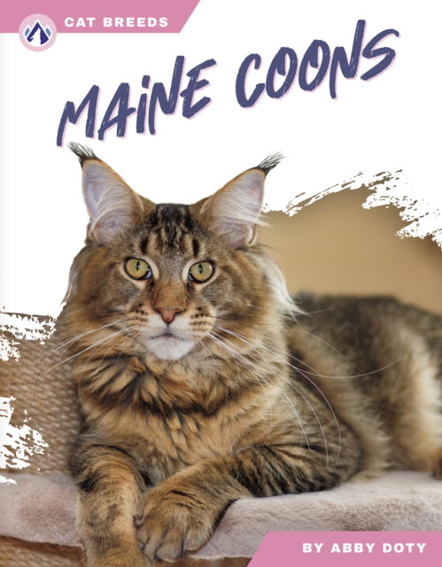 Cover for Abby Doty · Maine Coons - Cat Breeds (Paperback Book) (2025)