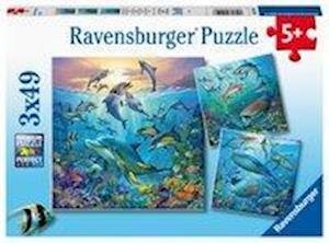 Cover for Ravensburger · Puzzel Dieren in de oceaan: 3x49 stukjes (051496) (Spielzeug)