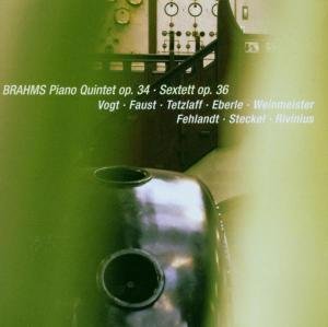 Cover for Johannes Brahms · Piano Quintet Op.34 (CD) (2006)