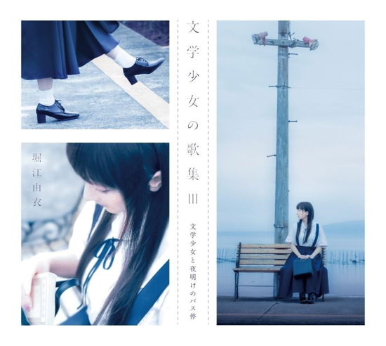 Bungaku Shoujo No Kashuu 3 <limited> - Horie Yui - Music -  - 4988003632496 - July 3, 2024