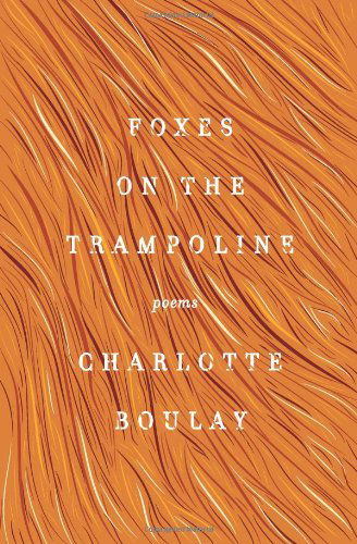 Foxes on the Trampoline: Poems - Charlotte Boulay - Books - Ecco - 9780062302496 - January 15, 2020