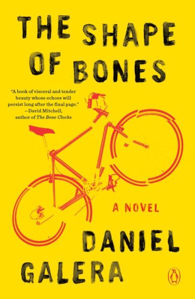 Cover for Daniel Galera · The Shape Of Bones: A Novel (Paperback Book) (2019)