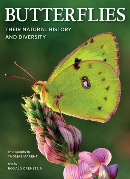 Cover for Ronald Orenstein · Butterflies: Their Natural History and Diversity (Pocketbok) (2020)