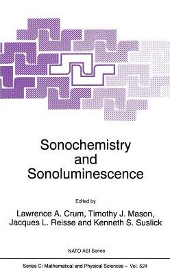 Cover for Nato Advanced Study Institute on Sonochemistry and Sonoluminescence · Sonochemistry and Sonoluminescence: Proceedings of the Nato Advanced Study Institute, Leavenworth, Washington, Usa, 18-29 August 1997 - Nato Science Series C (Hardcover Book) (1998)