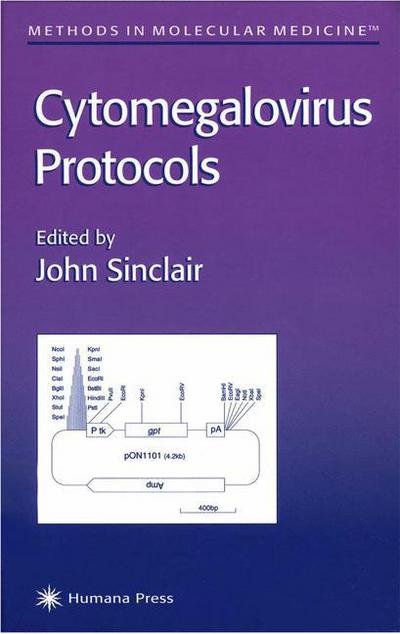 Cover for John Sinclair · Cytomegalovirus Protocols - Methods in Molecular Medicine (Hardcover Book) [2000 edition] (1999)