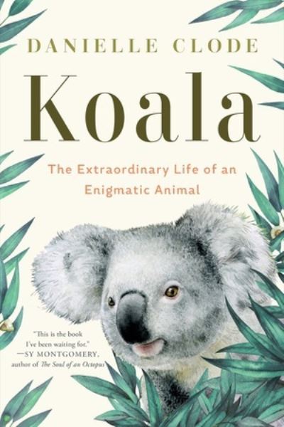 Cover for Danielle Clode · Koala: The Extraordinary Life of an Enigmatic Animal (Paperback Book) (2024)