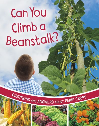 Cover for Katherine Rawson · Can You Climb a Beanstalk?: Questions and Answers About Farm Crops - Farm Explorer (Paperback Book) (2024)