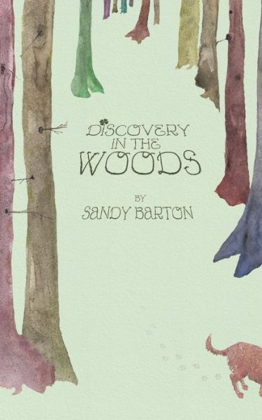 Cover for Sandy Barton · Discovery in the Woods: a St. Patrick's Day Surprise (Paperback Book) (2014)