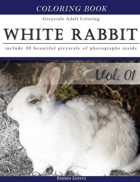 Cover for Banana Leaves · White Rabbits (Paperback Book) (2016)