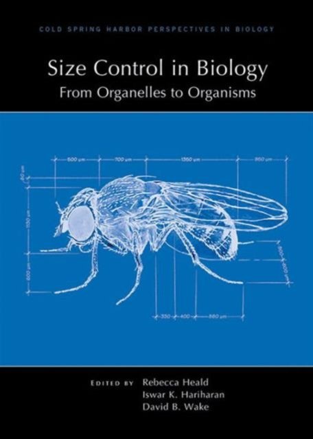 Cover for Wake, David (University of California Berkeley) · Size Control in Biology: From Organelles to Organisms (Paperback Bog) (2015)