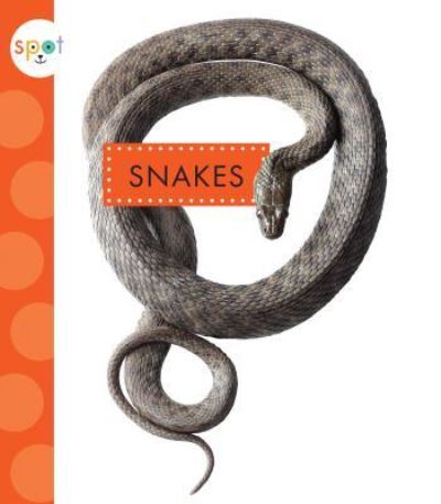 Cover for Mari C Schuh · Snakes (Hardcover Book) (2019)