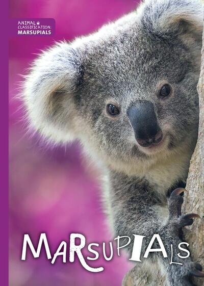 Cover for Madeline Tyler · Marsupials - Animal Classification (Hardcover Book) (2018)