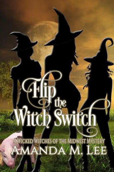 Cover for Amanda M Lee · Flip the Witch Switch (Paperback Book) (2019)