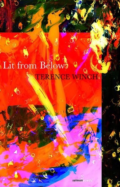 Cover for Terence Winch · Lit from Below (Paperback Book) (2013)