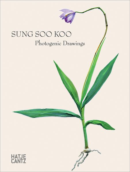 Cover for Matthias Harder · Sung Soo Koo: Photogenic Drawings (Hardcover Book) (2012)