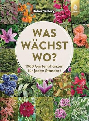Cover for Didier Willery · Was wächst wo? (Book) (2024)