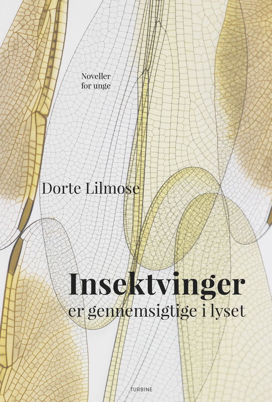 Cover for Dorte Lilmose · Insektvinger er gennemsigtige i lyset (Gebundenes Buch) [1. Ausgabe] (2019)