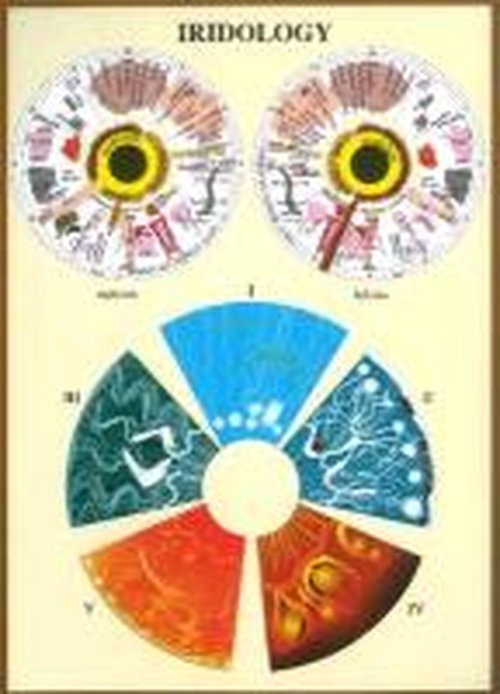 Iridology -- A4 - Jan van Baarle - Merchandise - Jan van Baarle - 9789070281496 - February 1, 1997