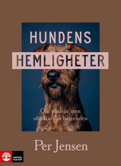 Cover for Per Jensen · Hundens hemligheter : om vanliga men oförklarliga beteenden (Innbunden bok) (2023)