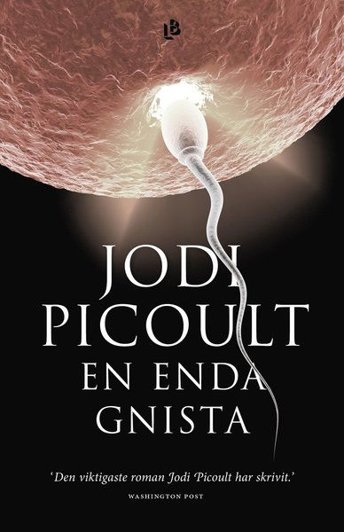 Cover for Jodi Picoult · En enda gnista (Bound Book) (2020)