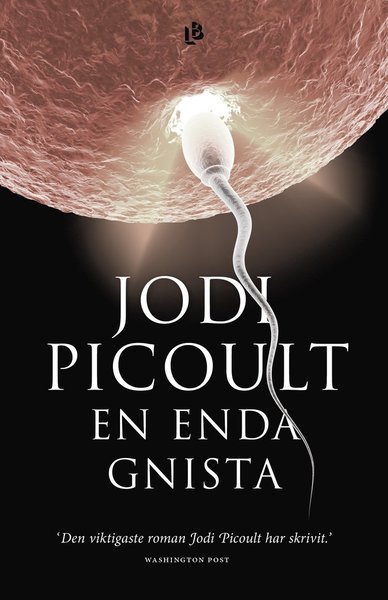 Cover for Jodi Picoult · En enda gnista (Gebundesens Buch) (2020)