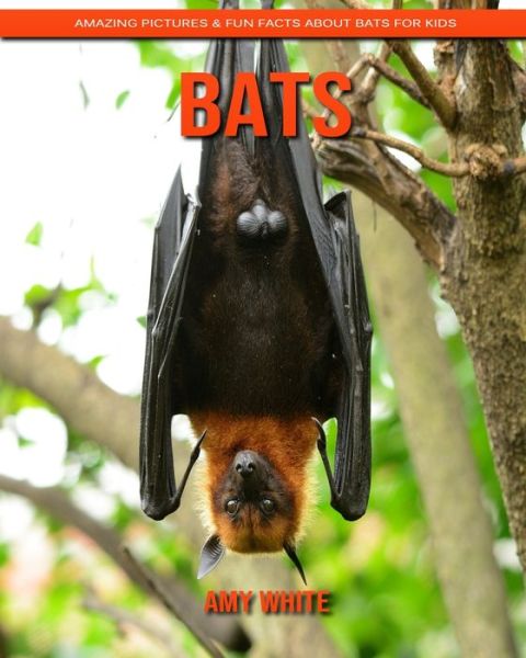 Bats - Amy White - Books - Independently Published - 9798602512496 - January 22, 2020