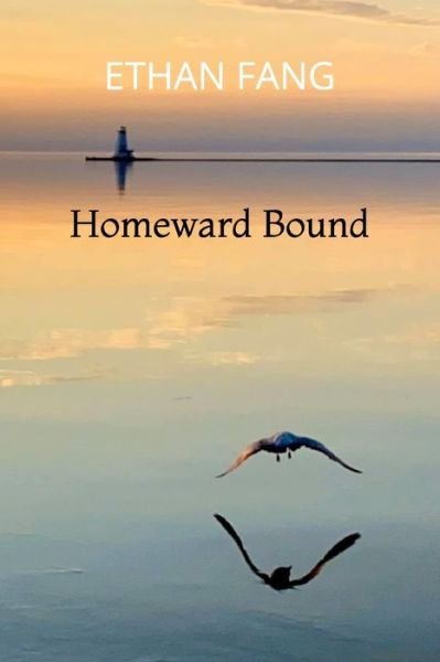 Cover for Ethan Daniel Fang · Homeward Bound (Paperback Bog) (2020)