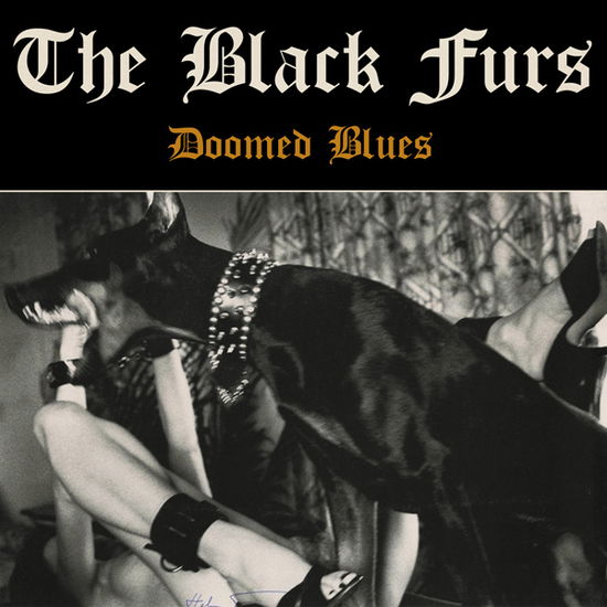 Cover for The Black Furs · Doomed Blues (Cassette) (2024)