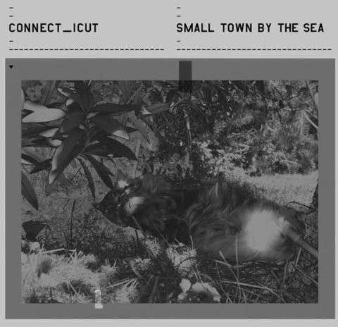 Cover for Connect_icut · Small Town By The Sea (LP) (2014)