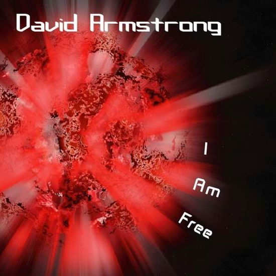 I Am Free - David Armstrong - Music - Little Swan Publishing - 0837654863497 - 2010