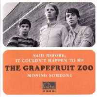 Cover for Grapefruit Zoo · Said Before It Couldn't Happen (LP) (2009)