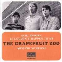 Grapefruit Zoo · Said Before It Couldn't Happen (LP) (2009)
