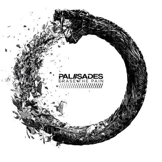 Erase The Pain - Palisades - Musique - RISE RECORDS - 4050538445497 - 1 février 2019