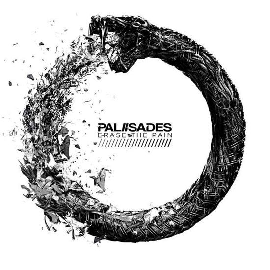 Erase The Pain - Palisades - Musiikki - RISE RECORDS - 4050538445497 - perjantai 1. helmikuuta 2019