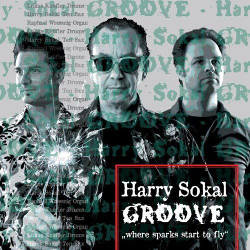 Groove, Where Sparks Star - Harry Groove Sokal - Musik - CRACKED AN EGG - 9120016850497 - 1. marts 2013