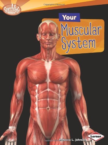 Cover for Rebecca L. Johnson · Your Muscular System (Searchlight Books: How Does Your Body Work?) (Gebundenes Buch) (2012)