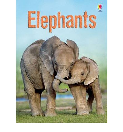 Elephants - Beginners - James Maclaine - Bücher - Usborne Publishing Ltd - 9781409530497 - 1. Juli 2011