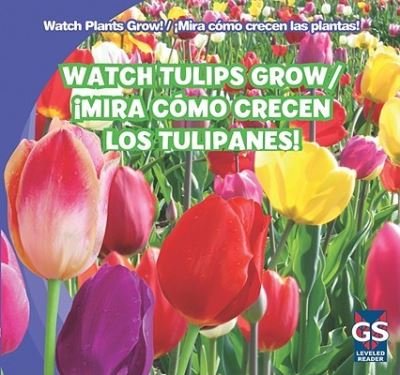 Cover for Kristen Rajczak · Watch tulips grow = Mira cmo crecen los tulipanes! (N/A) [1st edition] (2011)